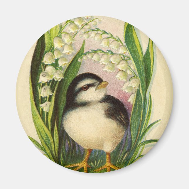 Imã Ímã Vintage Little Bird (Frente)