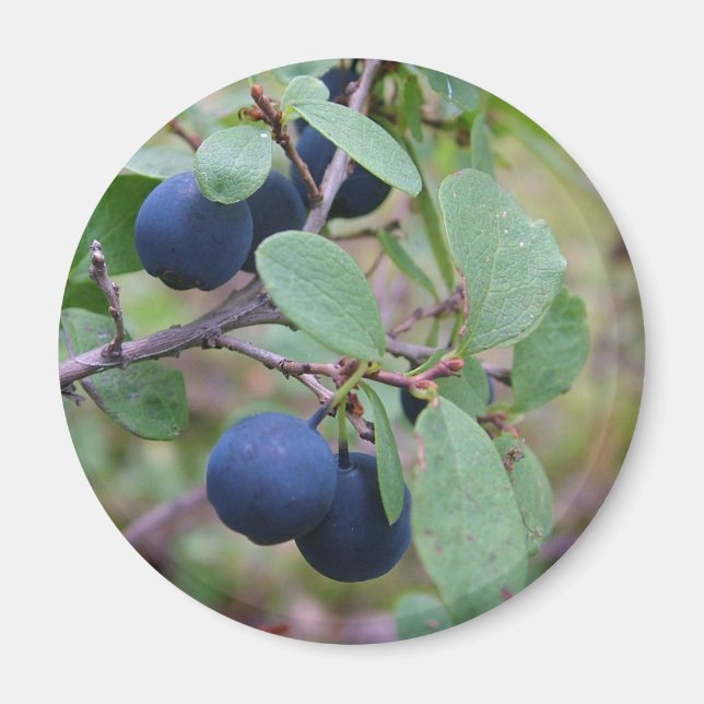 Imã ímã Wild Berries (Frente)
