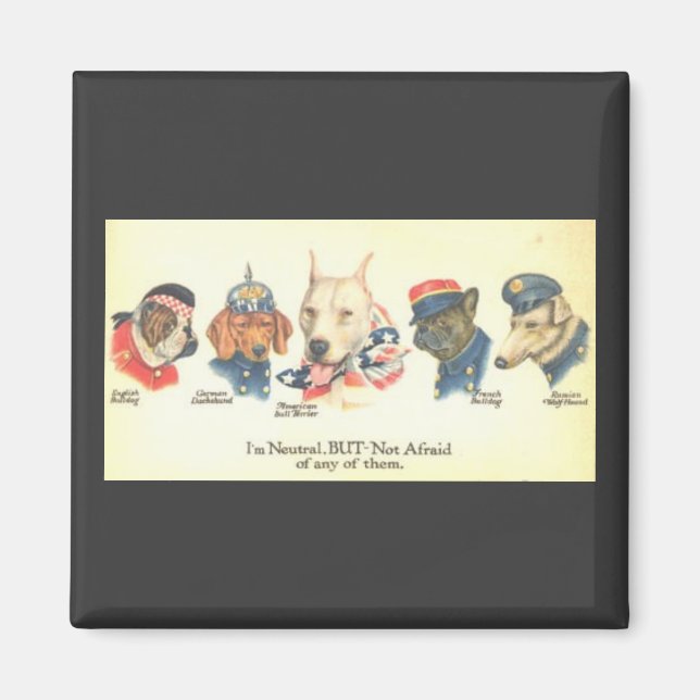 Imã ímã ww1 (Frente)