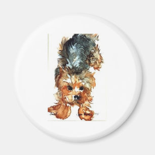 Imã ímã - yorkshire terrier