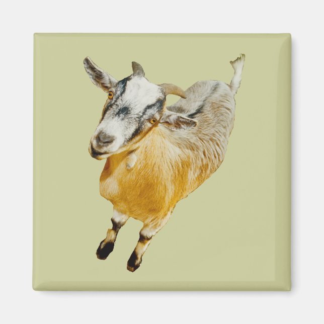 Imã Imagem Afro-Pigmy (Frente)