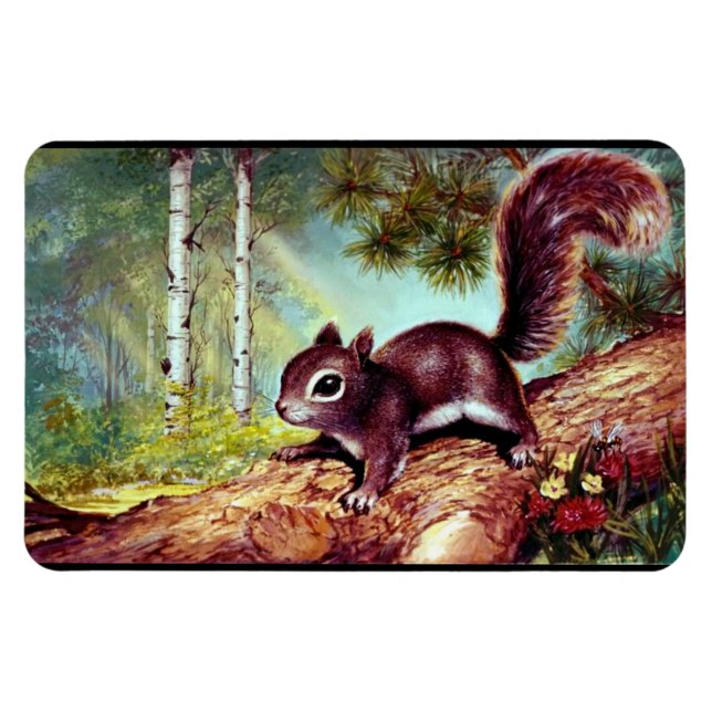 Ímã Imagem antiga do Esquilo de Vintage (Horizontal)