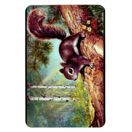 Ímã Imagem antiga do Esquilo de Vintage