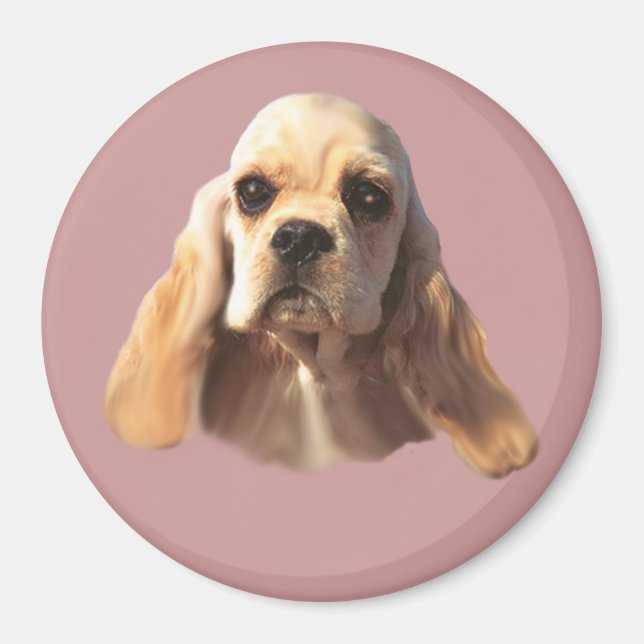 Imã Imagem Blondie do Cocker Spaniel (Frente)