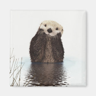 Imã Imagem bonito dos animais selvagens da lontra