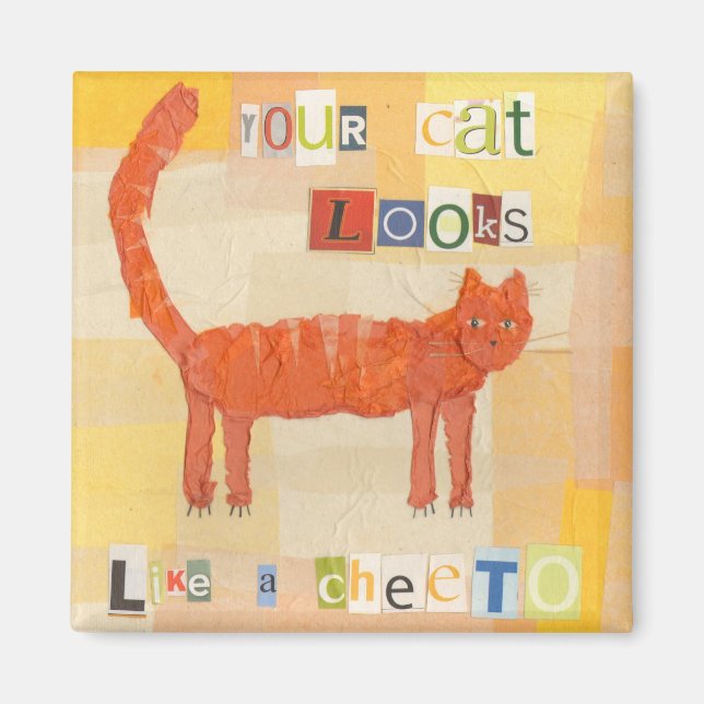 Imã Imagem Cheeto Cat (Frente)