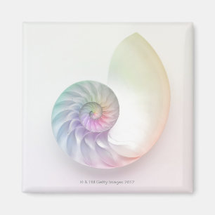Imã Imagem colorida artística do nautilus