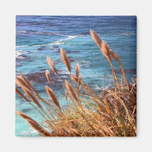 Imã Imagem Costeira da Califórnia