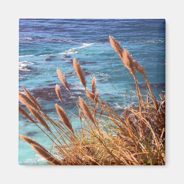 Imã Imagem Costeira da Califórnia (Frente)