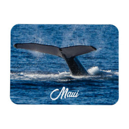 Ímã Imagem da baleia-jubarte em Maui