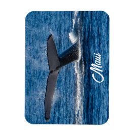 Ímã Imagem da baleia-jubarte em Maui