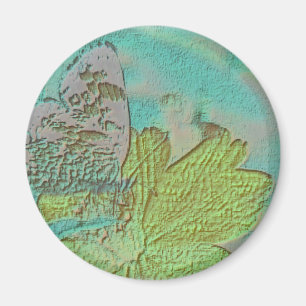 Imã Imagem da Borboleta