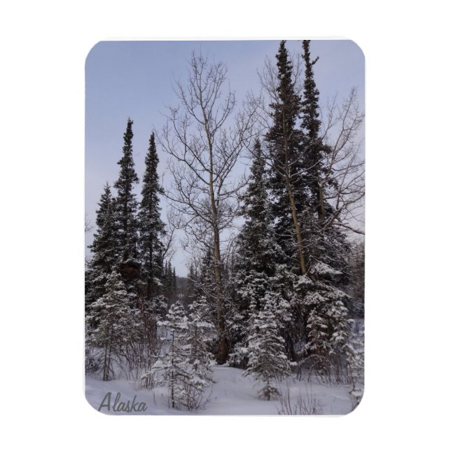 Ímã Imagem da Cena de inverno (Vertical)