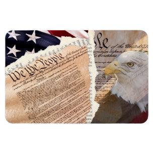 Ímã Imagem da Constituição