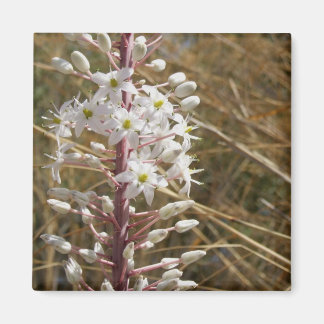 Imã Imagem da Flor Natureza