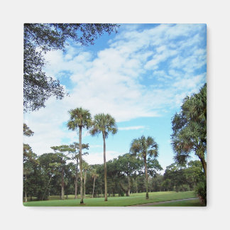 Imã Imagem da Ilha Kiawah