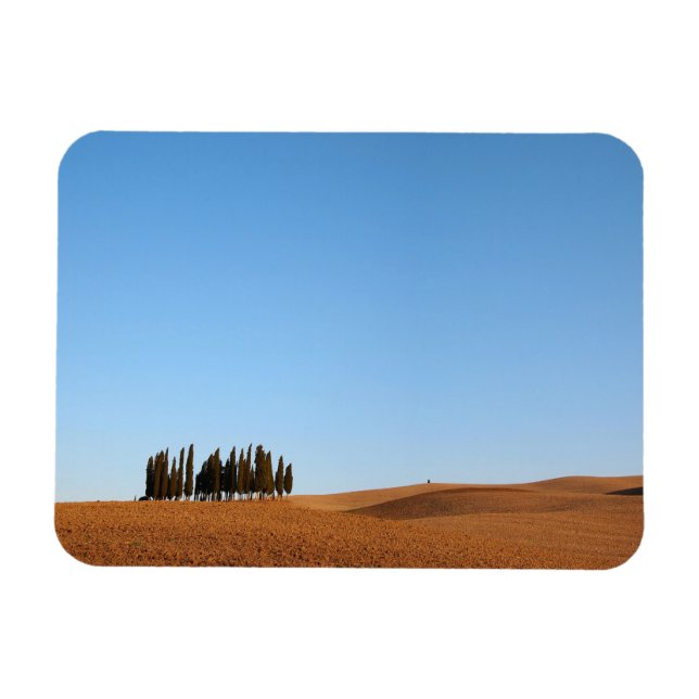 Ímã Imagem da paisagem da Toscana retangular com cipre (Horizontal)