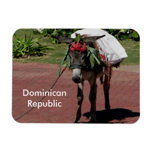 Ímã Imagem da República Dominicana