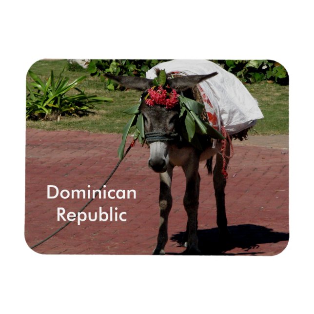 Ímã Imagem da República Dominicana (Horizontal)