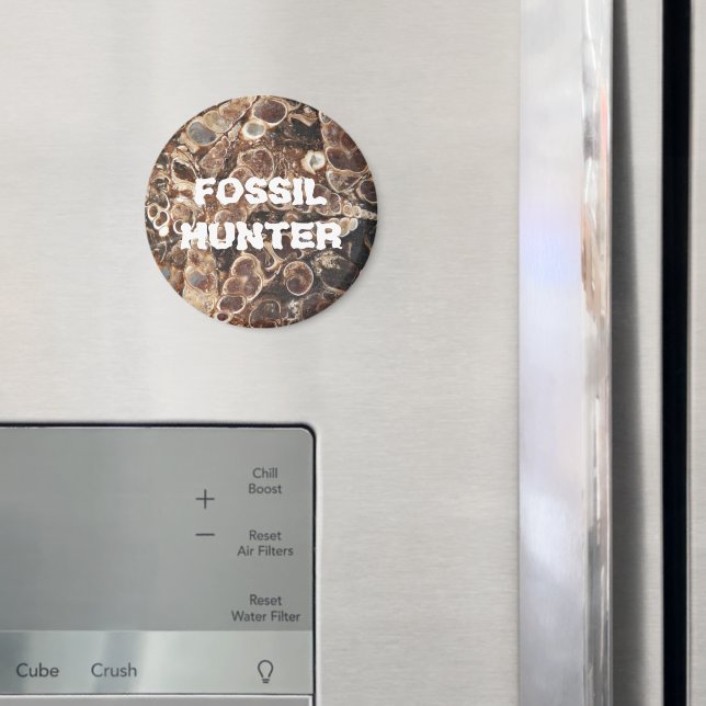 Imã Imagem de Agato de Turritella, Fóssil Hunter (In Situ (Fridge))