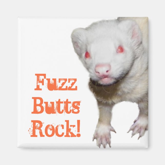 Imã Imagem de Albino Ferret (Frente)