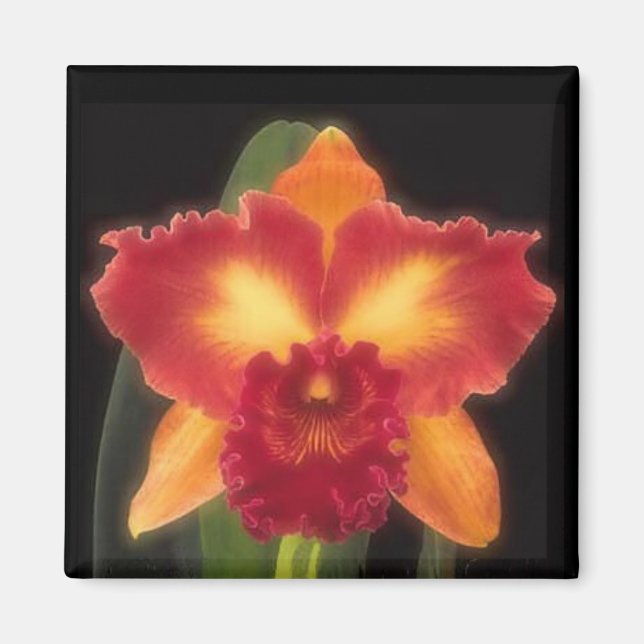 Imã Imagem de Beleza Exótica (Frente)