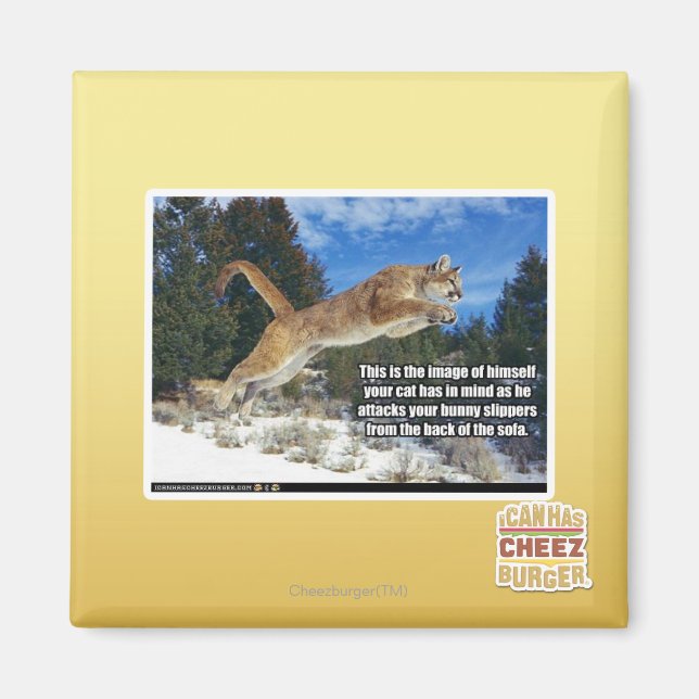 Imã Imagem de Cat (Frente)