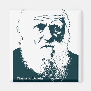 Imã Imagem de Darwin. Ímã