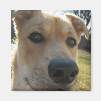 Imã Imagem de Dexter no Fim de Semana