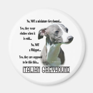 Imã Imagem de FAQ de Greyhound Italiano