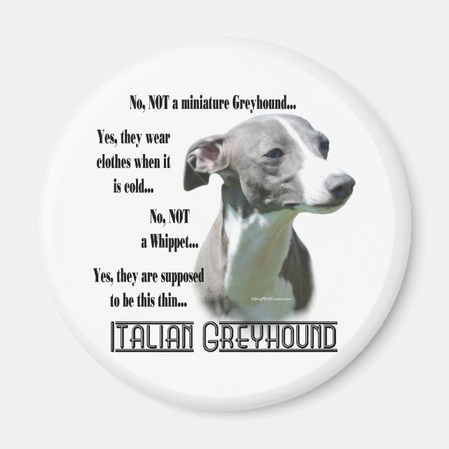 Imã Imagem de FAQ de Greyhound Italiano (Frente)