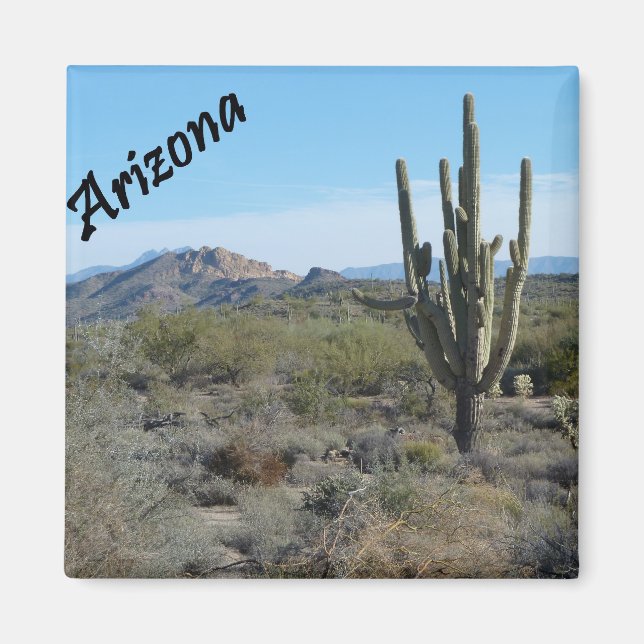 Imã Imagem de Foto do Cactus de Trilha do Apache arizo (Frente)