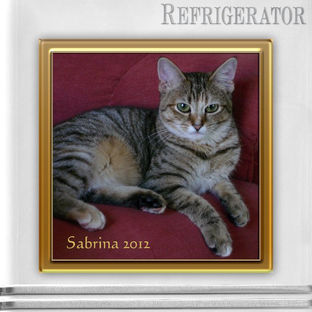 Imã Imagem de Foto do Cat Memorial (Keepsake photo frame magnet for a picture of your own choice - nice as cat memorial magnet)