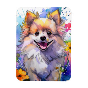 Ímã Imagem de Fotografias de Cachorros Pomeranianos