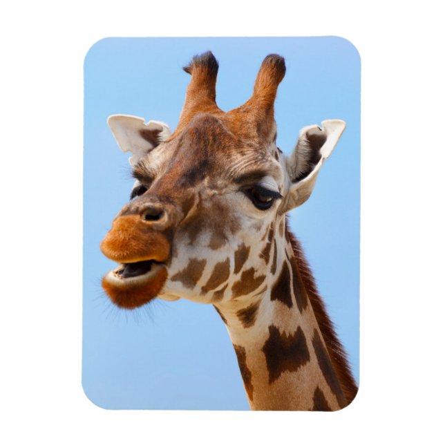 Ímã Imagem de Giraffe Portrait (Vertical)