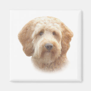 Imã Imagem de Goldendoodle com Cores Aquáticas