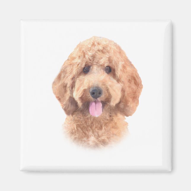 Imã Imagem de Goldendoodle com Cores Aquáticas (Frente)
