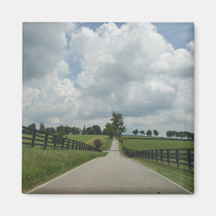 Imã Imagem de Kentucky Bluegrass