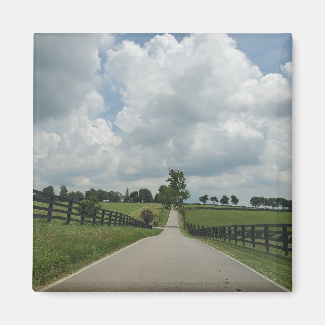 Imã Imagem de Kentucky Bluegrass (Frente)