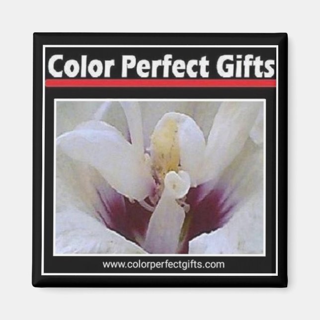 Imã Imagem de logotipo (Frente)