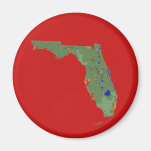 Imã Imagem de Mapa da Flórida