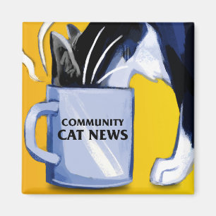 Imã Imagem de Notícias de Gatos de Comunidade Quadrada