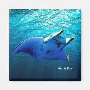 Imã Imagem de Peixe para Magneta Quadrada