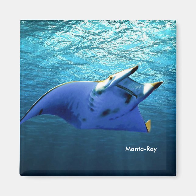 Imã Imagem de Peixe para Magneta Quadrada (Frente)