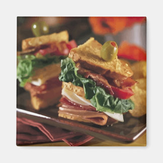 Imã Imagem de Perguntas Sanduíche