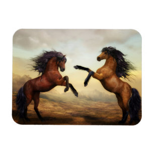 Ímã Imagem de Pintura de Estalhões Dueling