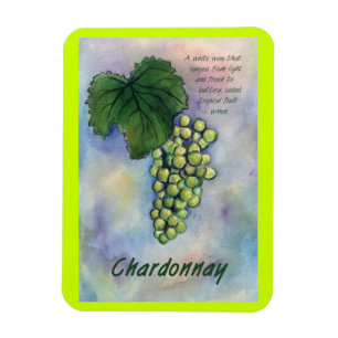 Ímã Imagem de Pintura de Uvas de Vinho Chardonnay