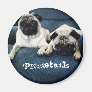 Imã Imagem de #puggietails