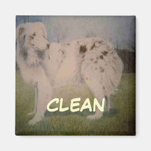 Imã Imagem de Status do Dish Washer