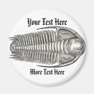 Imã Imagem de Trilobite Vintage